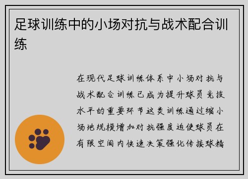 足球训练中的小场对抗与战术配合训练